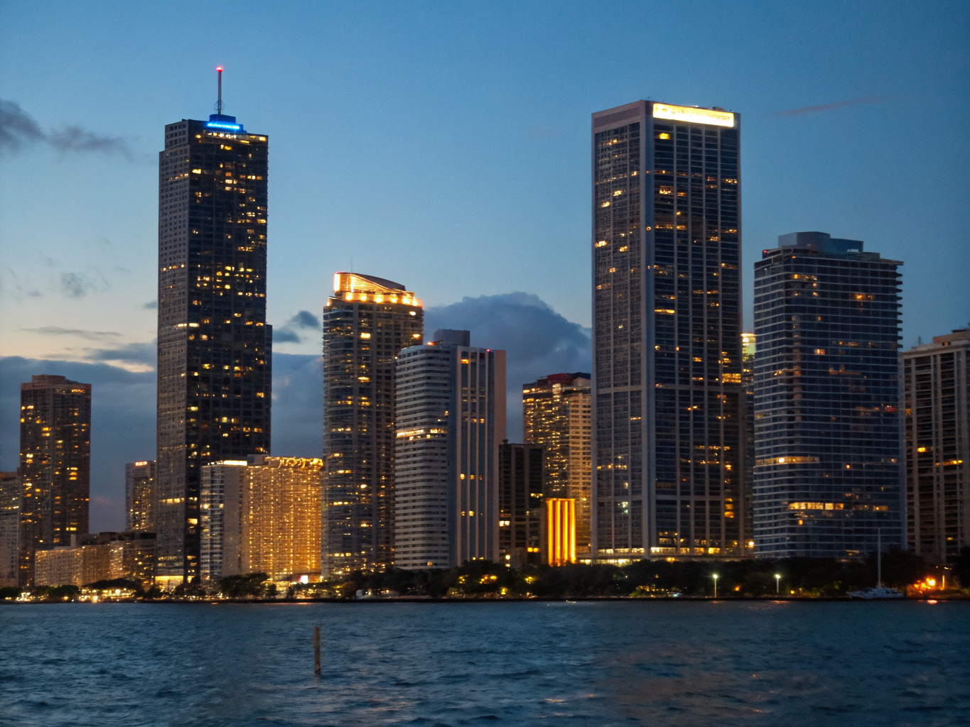 Miami Skyline Night